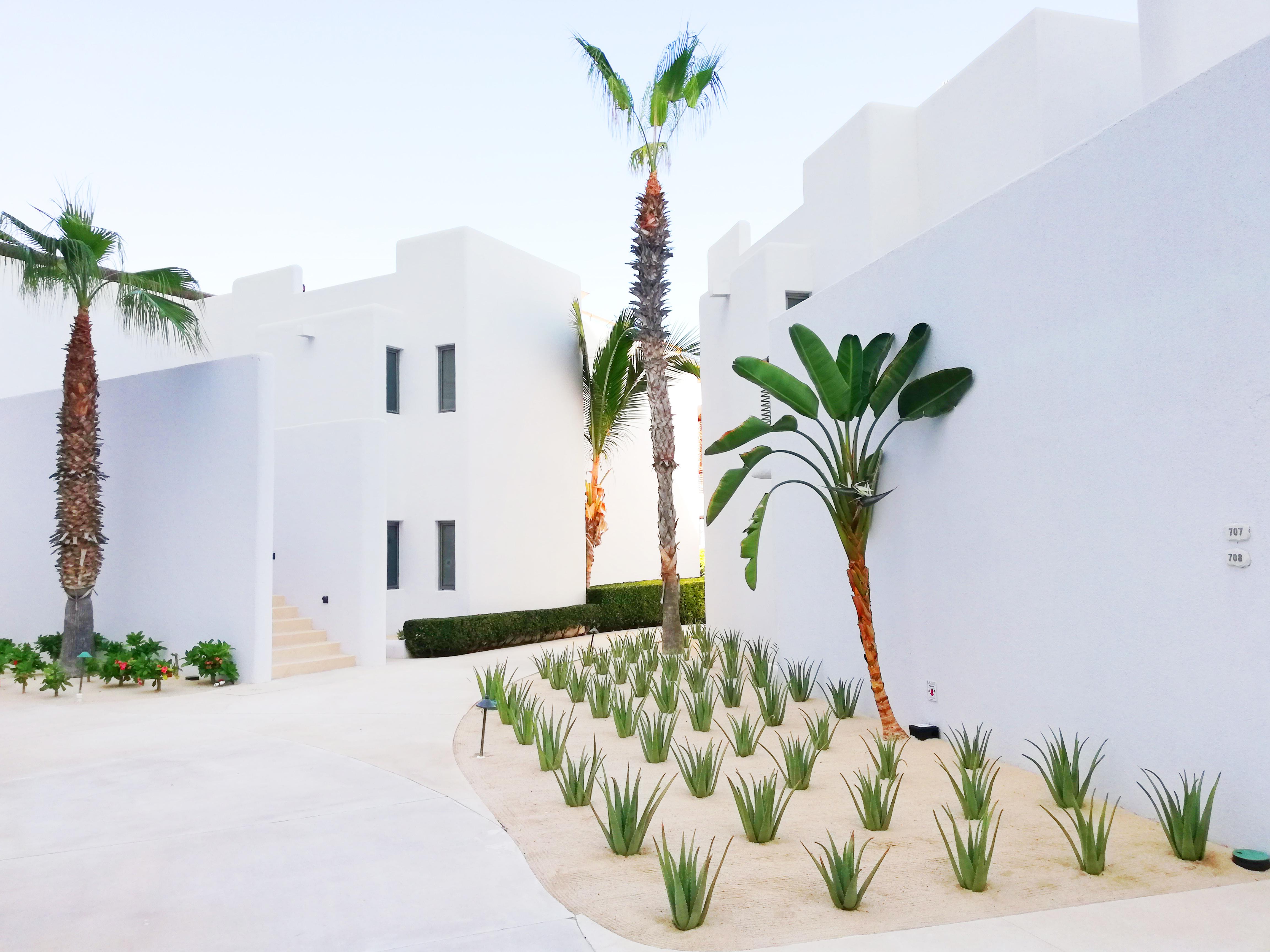 Marquis Los Cabos, An All - Inclusive, Adults - Only & No Timeshare Resort San Jose del Cabo Bagian luar foto